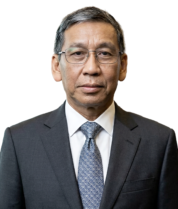 Prof. Hamdi Muluk